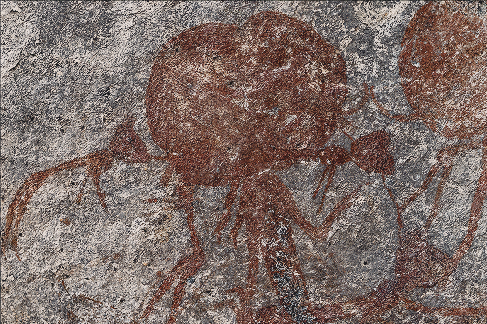 Documenting Rock Art at Swaga Swaga Game Reserve Tanzania Africa