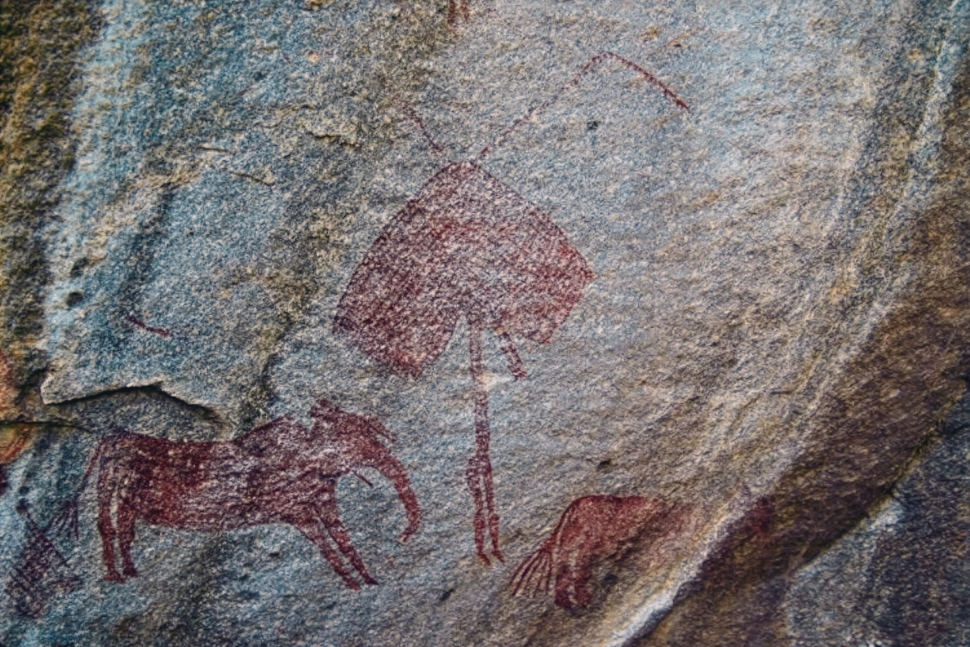 Documenting Rock Art at Swaga Swaga Game Reserve Tanzania
