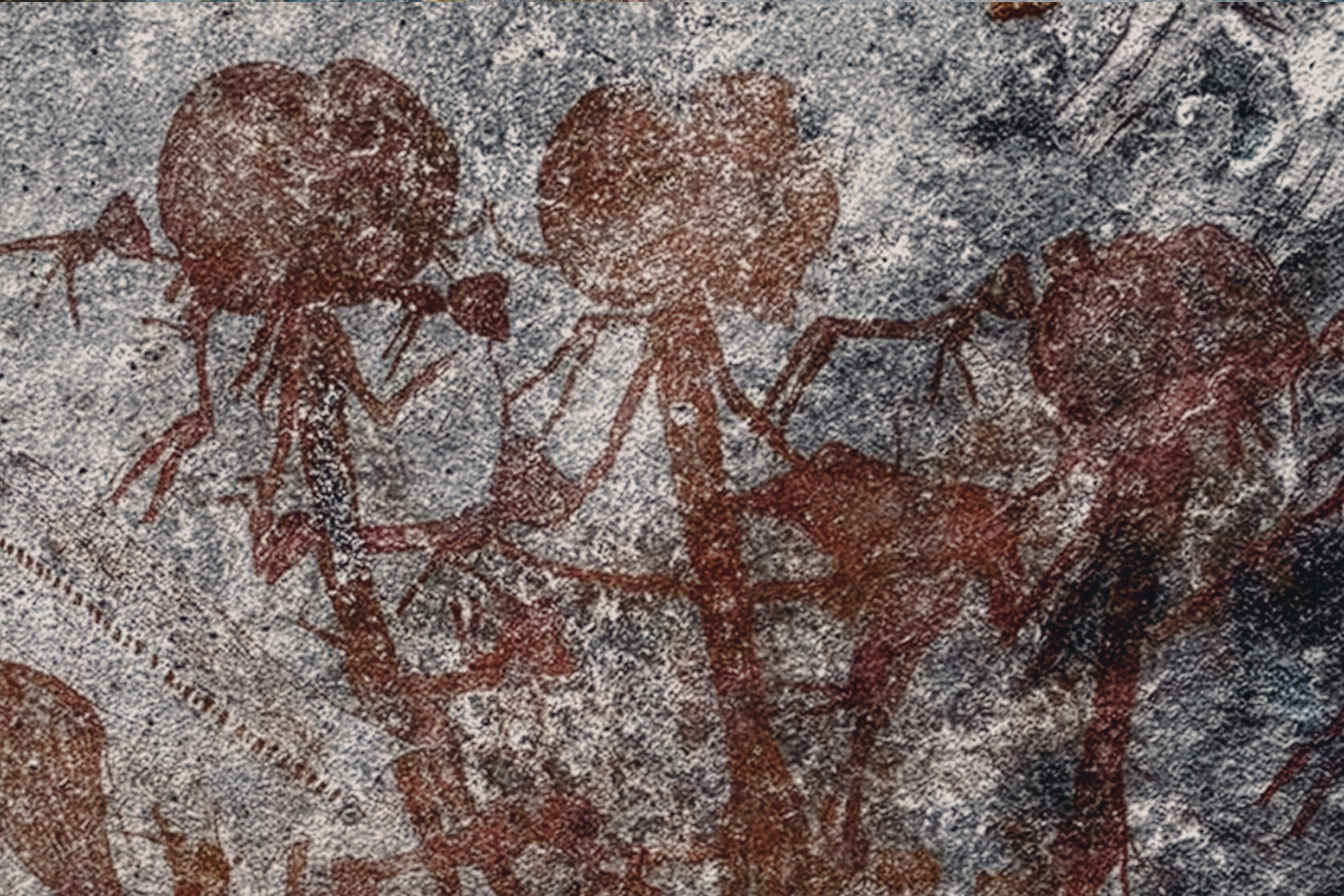 Documenting Rock Art at Swaga Swaga Game Reserve Tanzania Africa