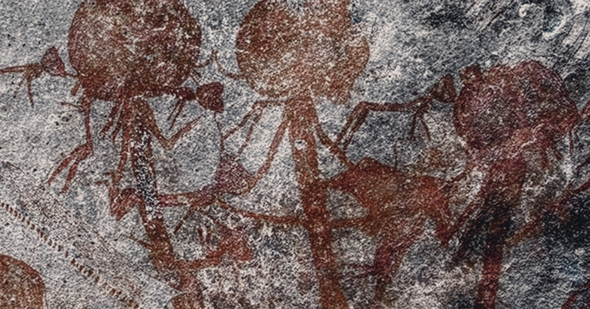 Bradshaw Foundation Twitter