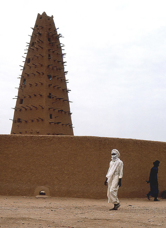 Tuareg Salt Caravans Niger Africa Bradshaw Foundation