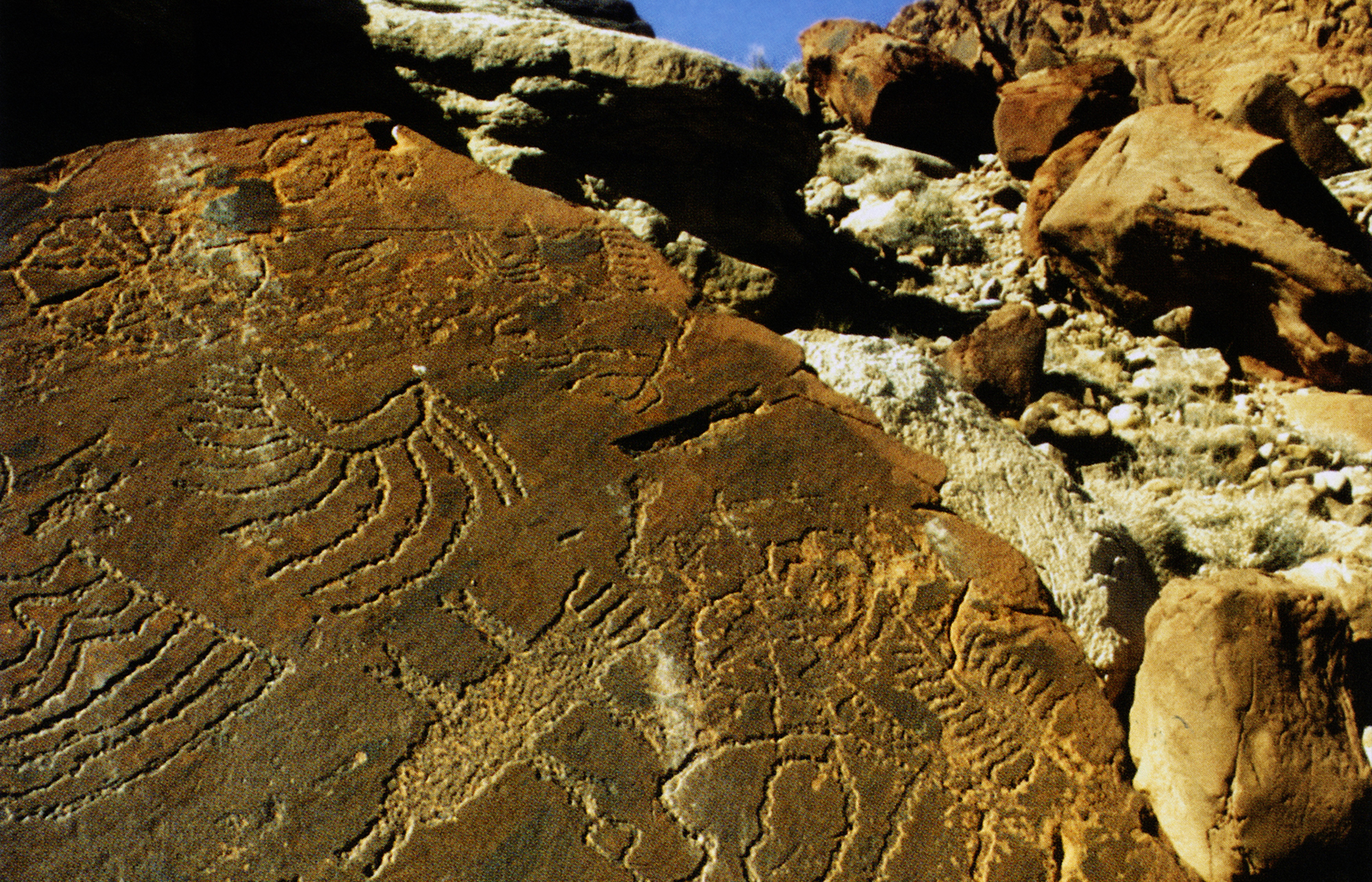 Arizona Rock Art Petroglyphs Pictographs Archaeology USA America Bradshaw Foundation Rock Art Network