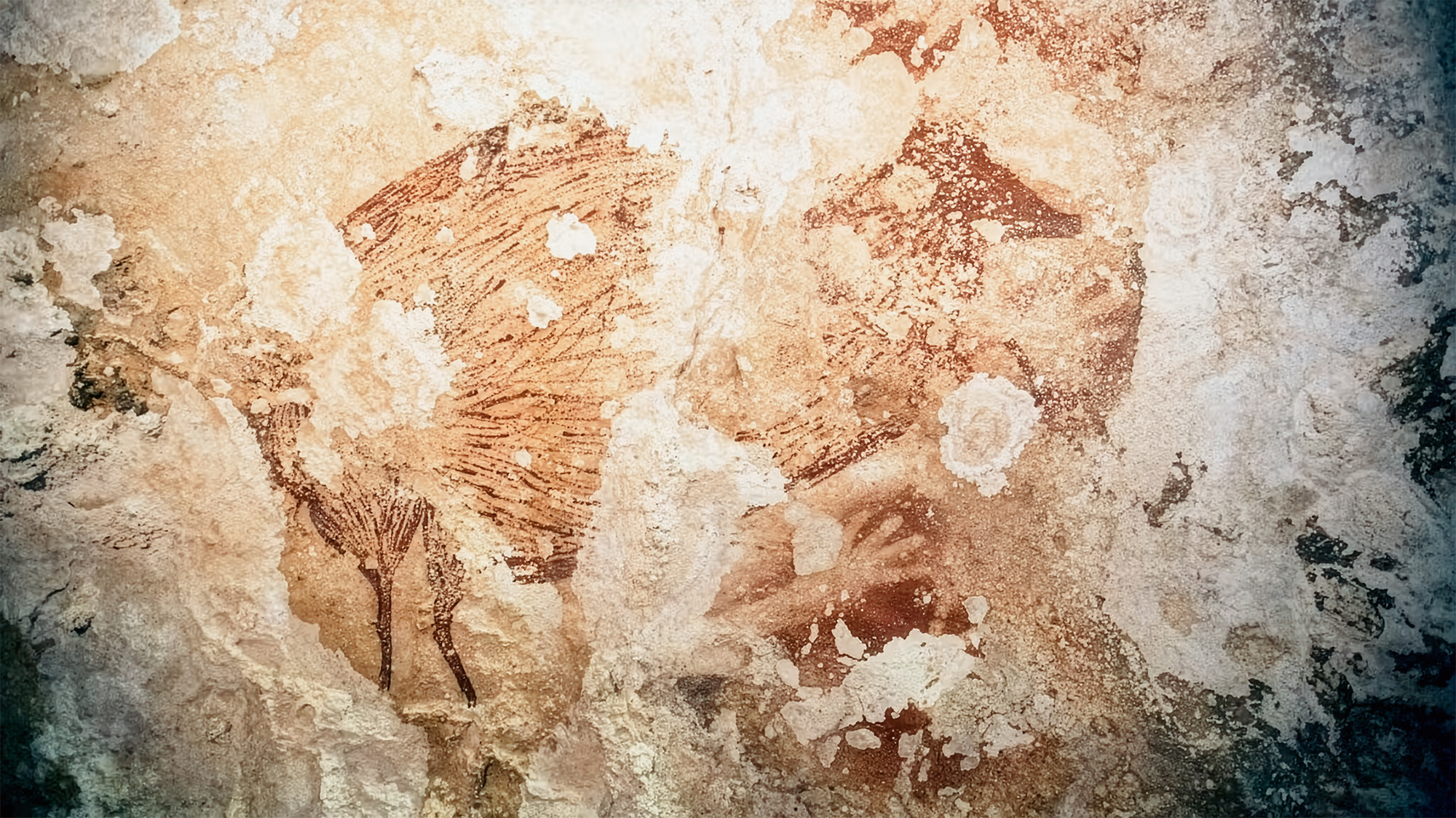 Babirusa (pig-deer) with hand stencils 40000 year old rock art found in Indonesia