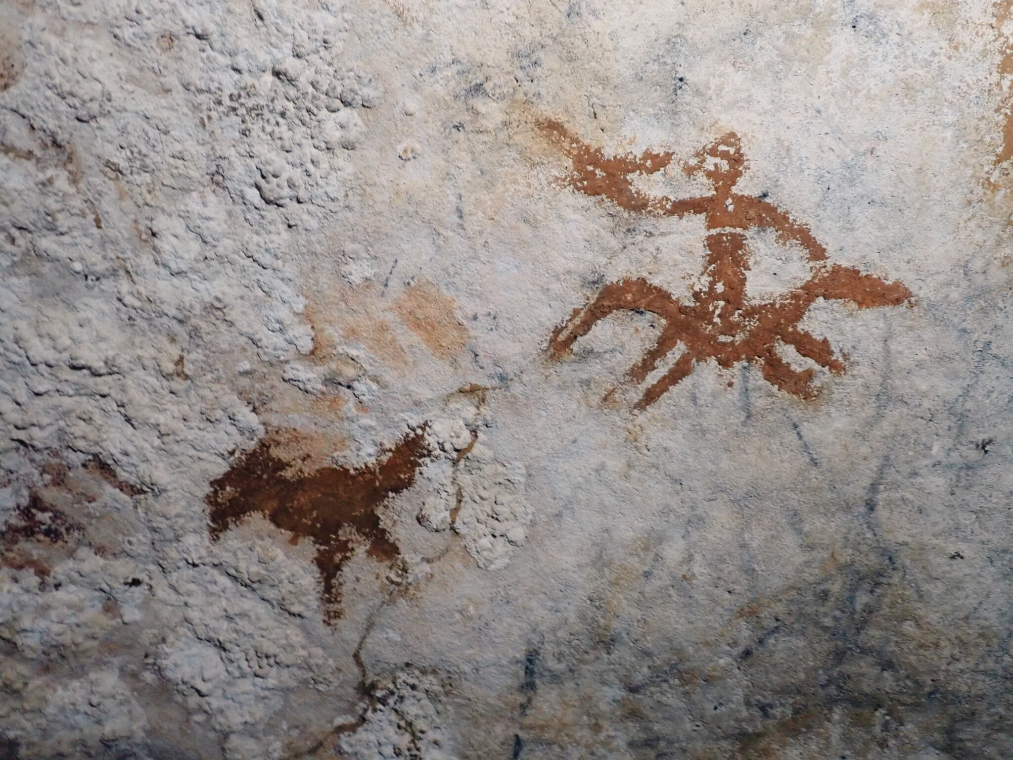 The faint 67,800 yr old hand stencil is barely visible amongst much younger art Sulawesi Indonesia
