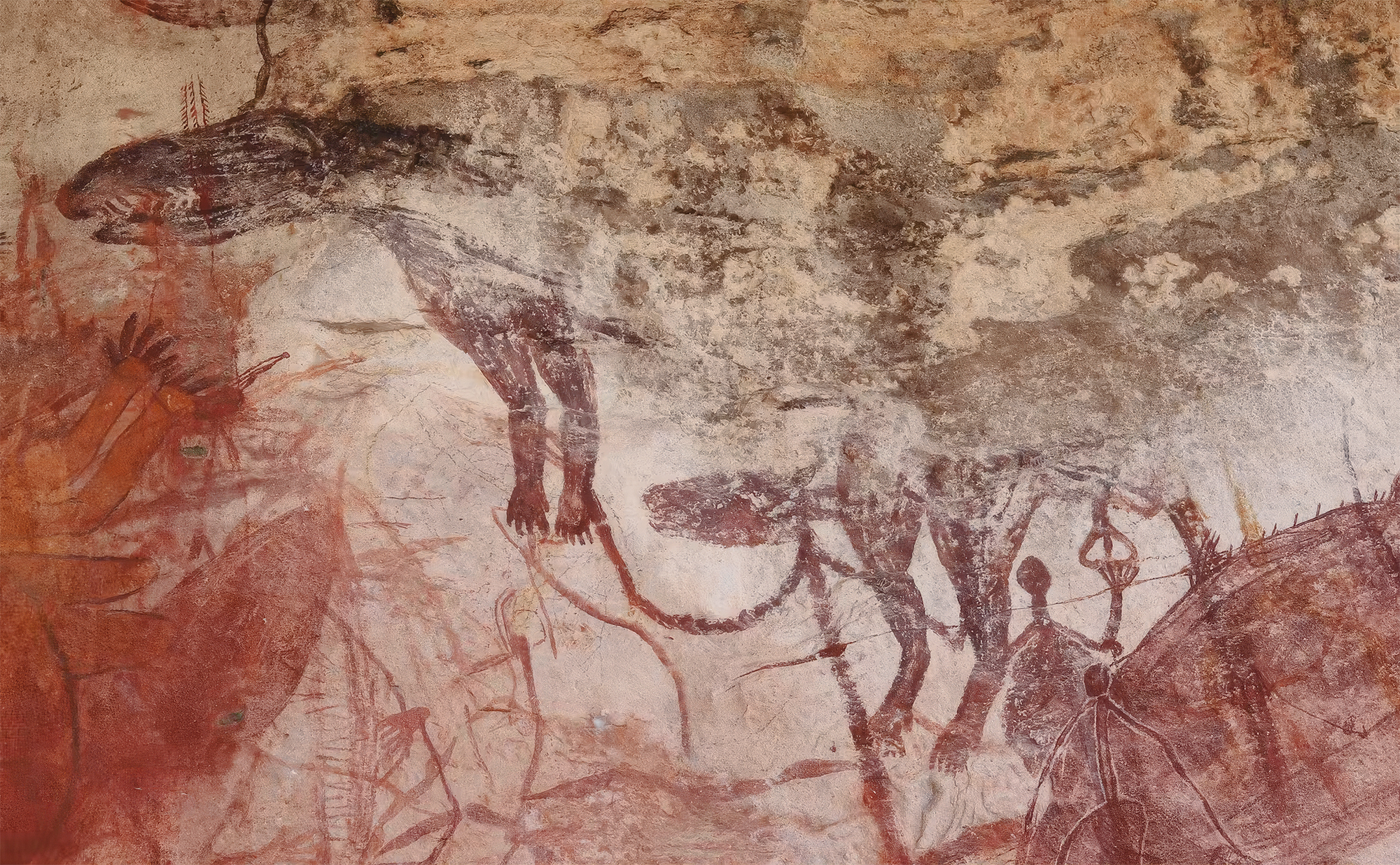 An Injalak Hill Large Naturalistic style thylacine with sharp teeth