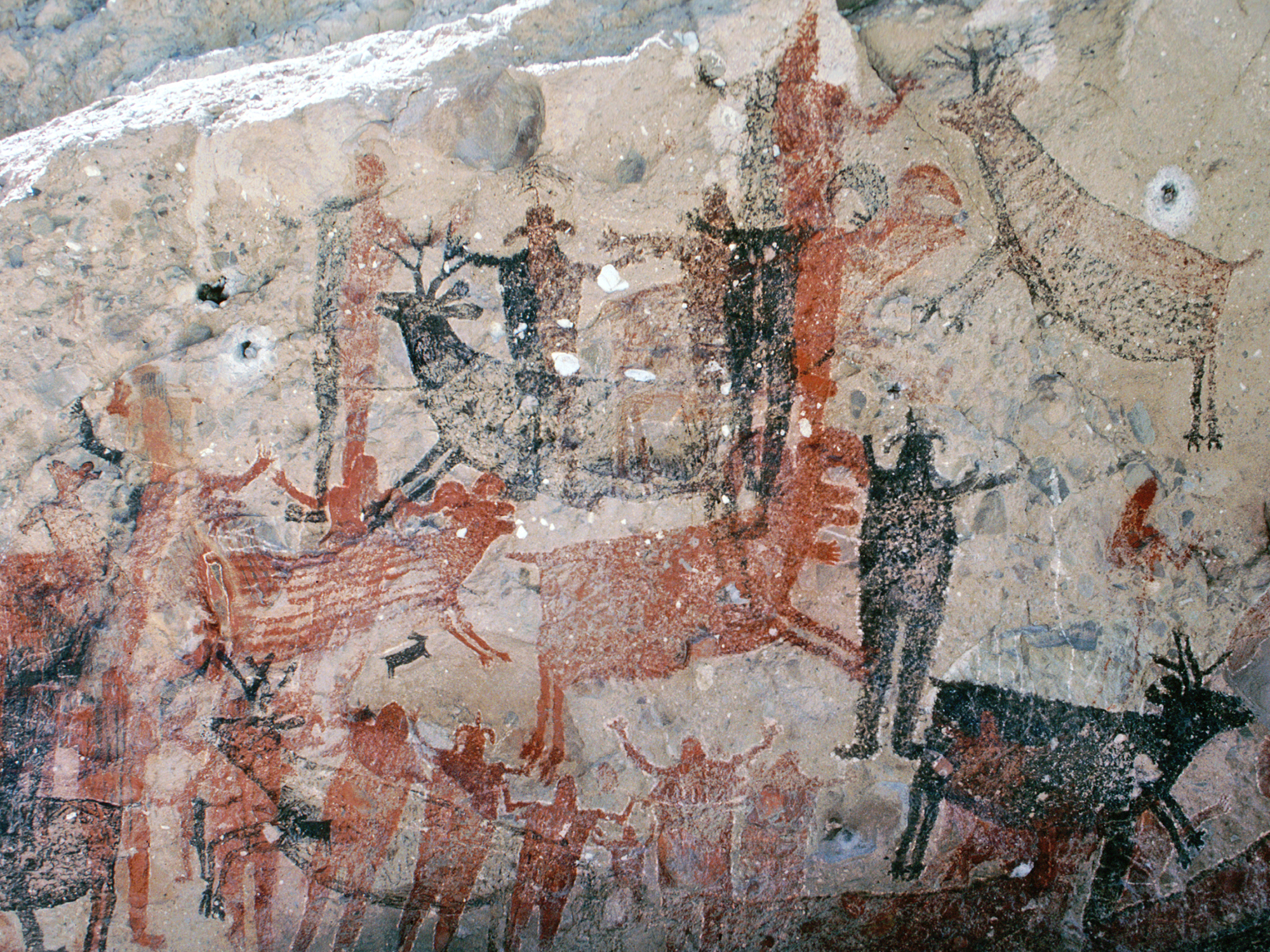 Baja California Great Murals - Cave Paintings Gallery