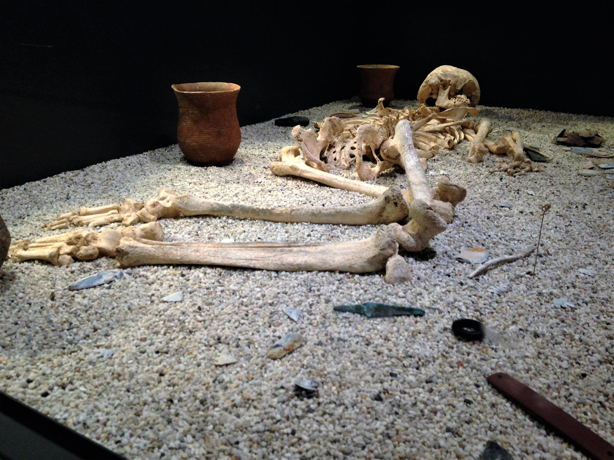 Amesbury Archer Bronze Age Archaeology grave skeleton Britain Stonehenge