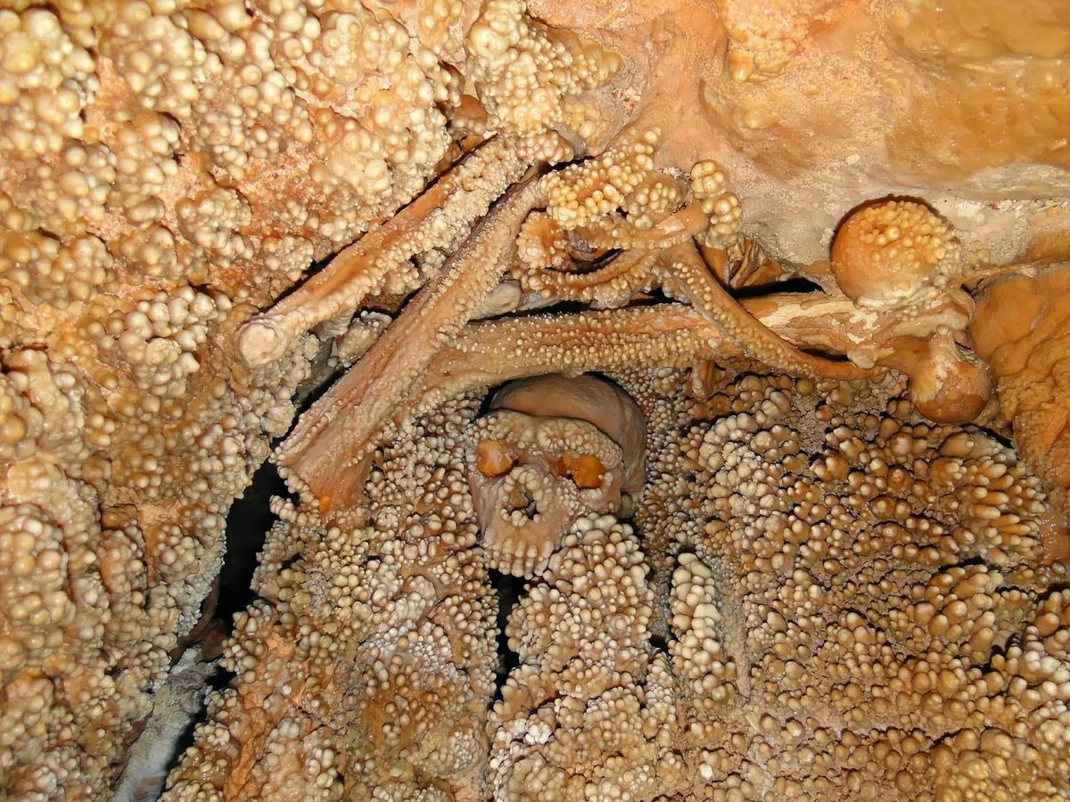 Oldest Neanderthal DNA skeleton ancient human cave Lamalunga Altamura Italy