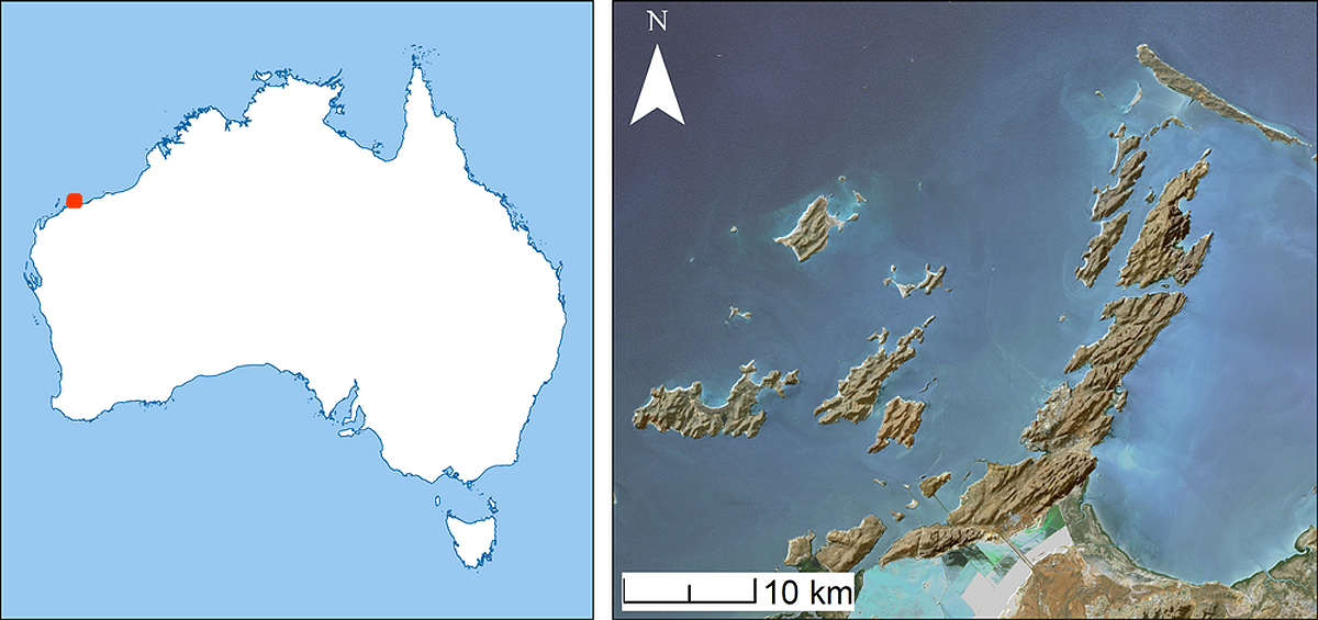 discovery researchers ancient Aboriginal archaeological site preserved seabed Australia