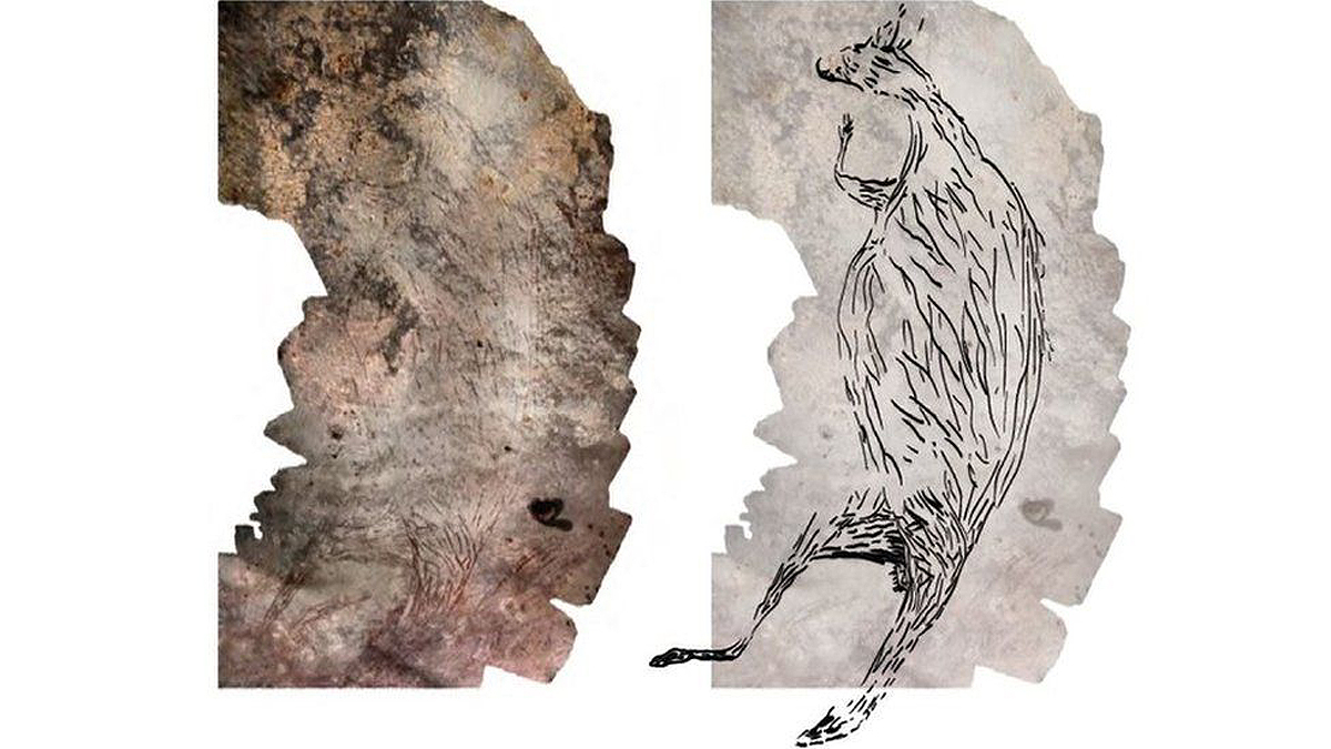 Australia oldest rock art kangaroo Kimberley Aboriginal