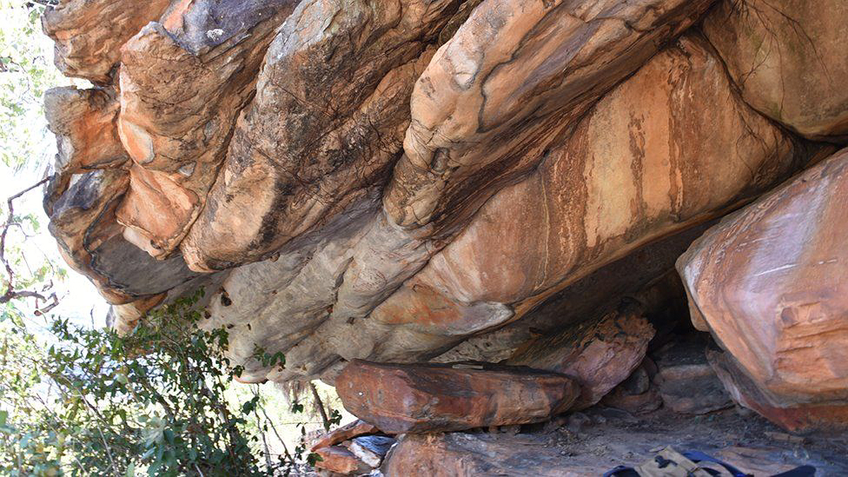 Australia oldest rock art kangaroo Kimberley Aboriginal