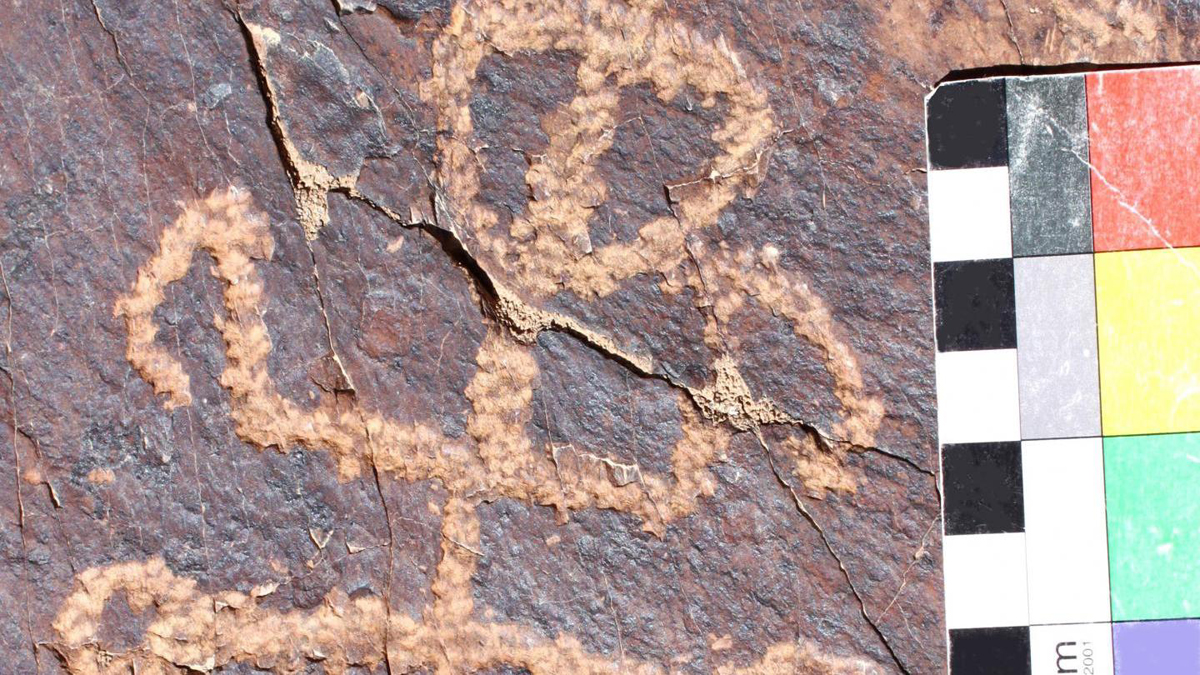 Possible Half Human Praying Mantis Carving Found Ancient Rocks unusual petroglyph central Iran