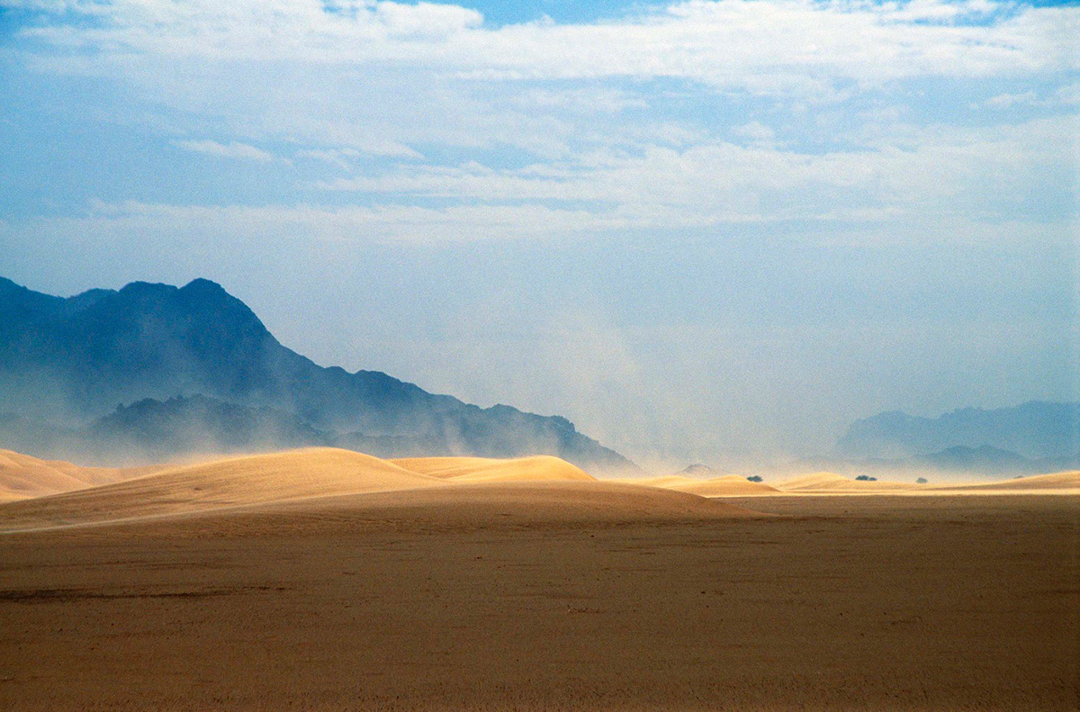 Sahara Aïr Mountains Safari Niger 2023 Trust for African Rock Art TARA David Coulson