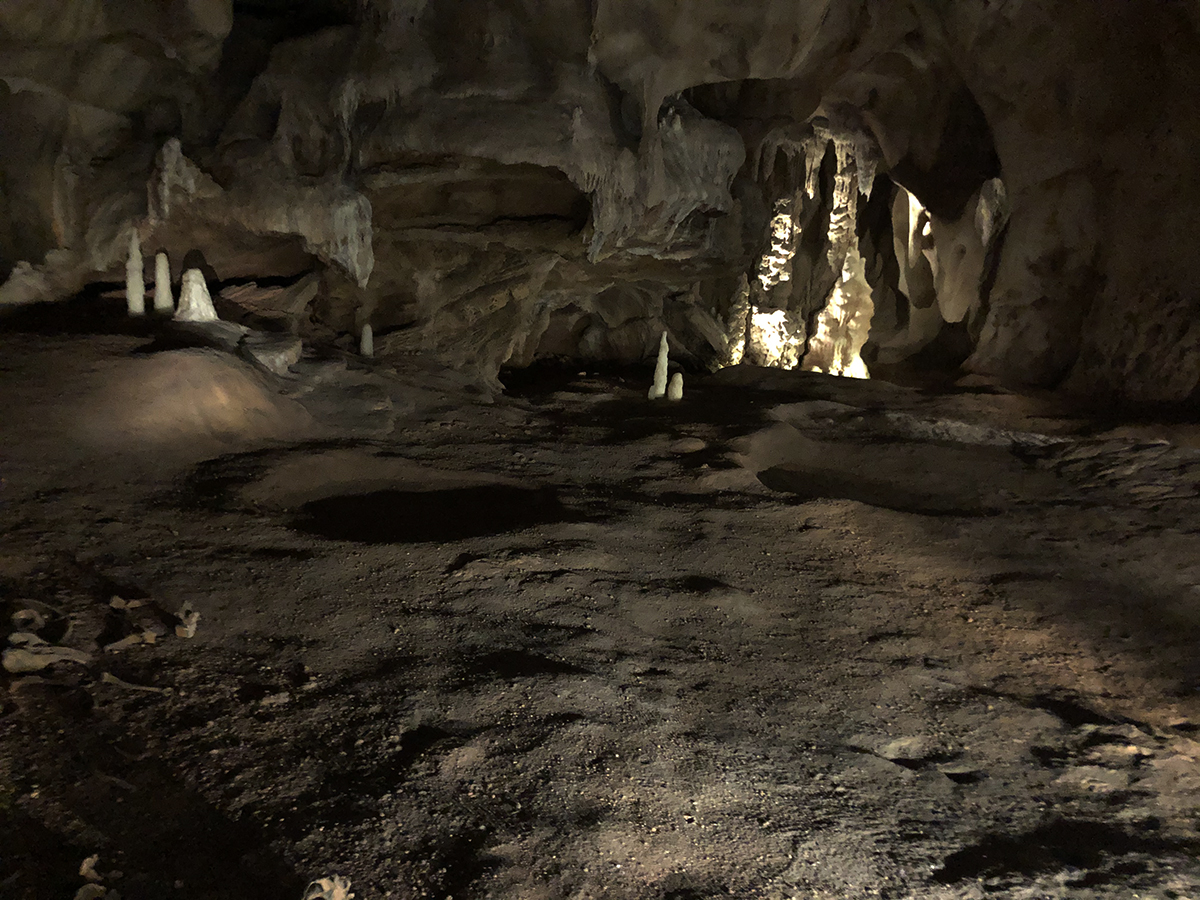 In Praise of Shadows caves Europe Palaeolithic art Lascaux Homo Sapiens Rediscovered Paul Pettitt Jun'ichirō Tanizaki