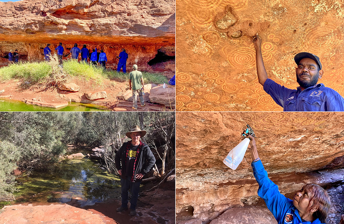 Utyetye rock art swallows Central Australia corroborees Kaltukatjara Ltyentye Apurte