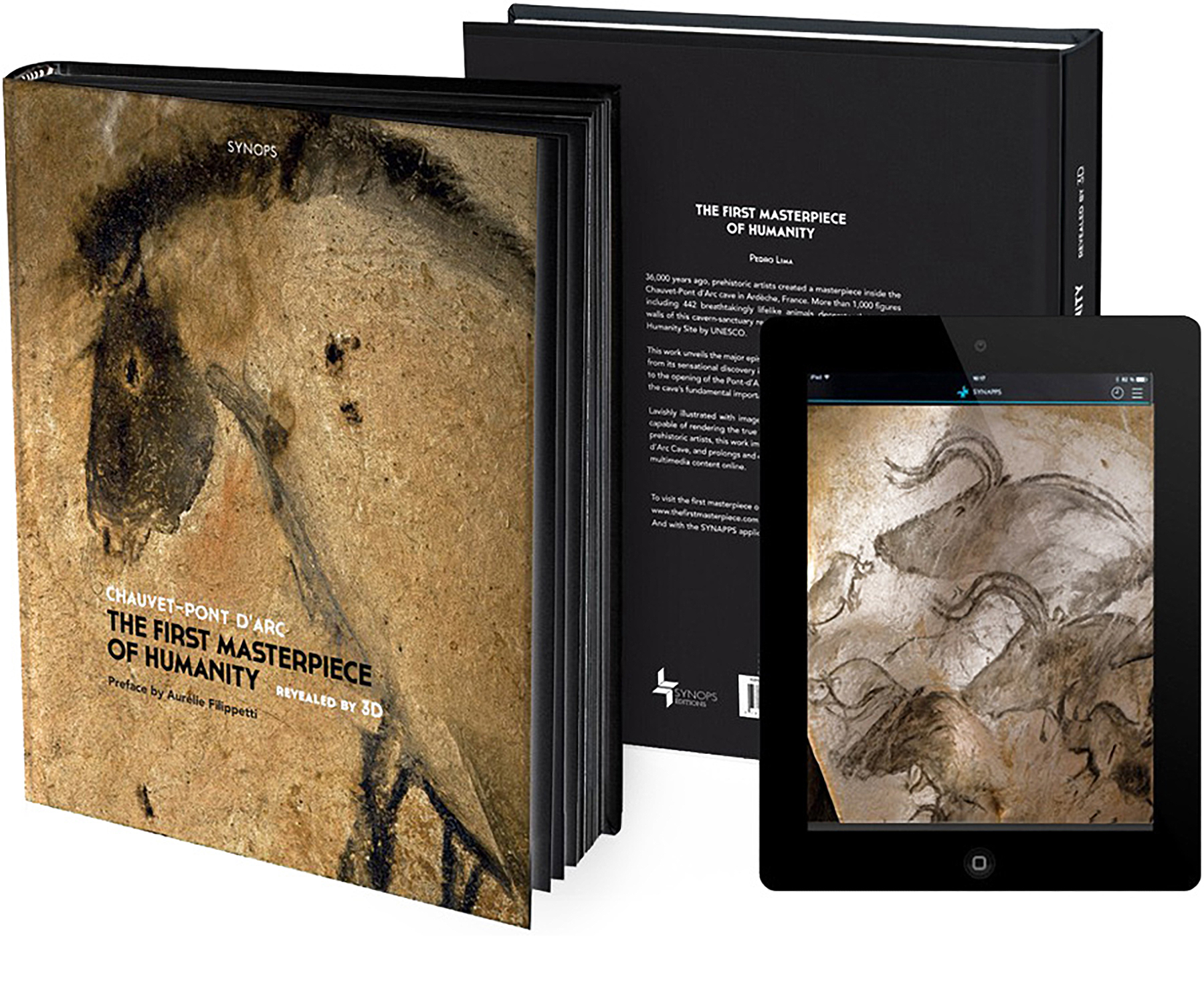 Chauvet-Pont d'Arc cave : The first masterpiece of humanity revealed by 3D