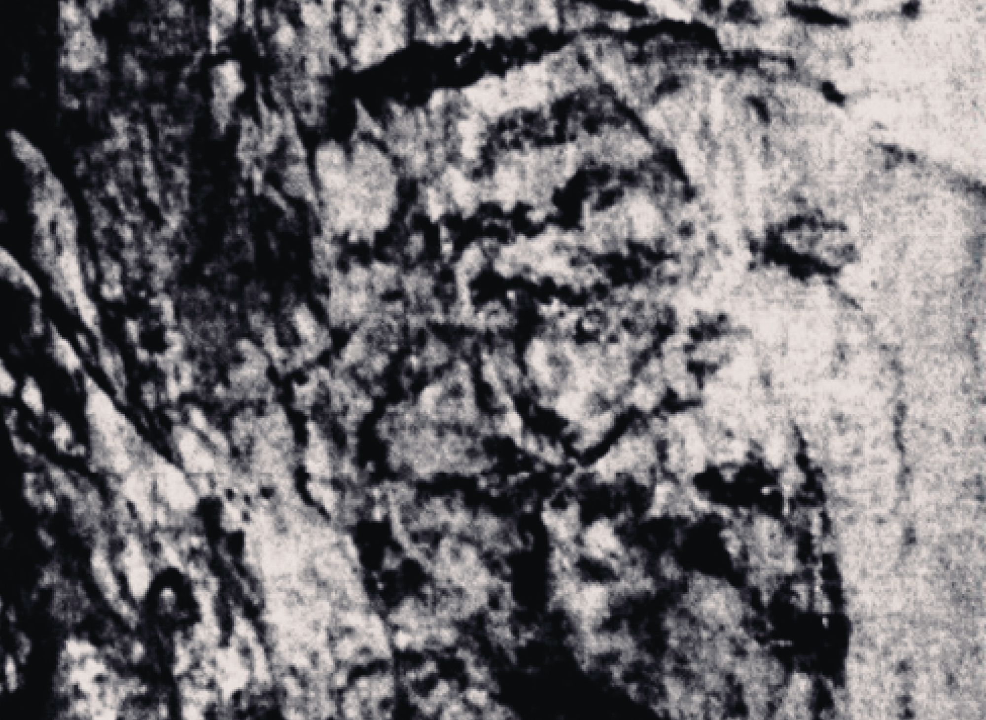 Bacon Hole Rock Art Late Upper Palaeolithic Gower Peninsula South Wales