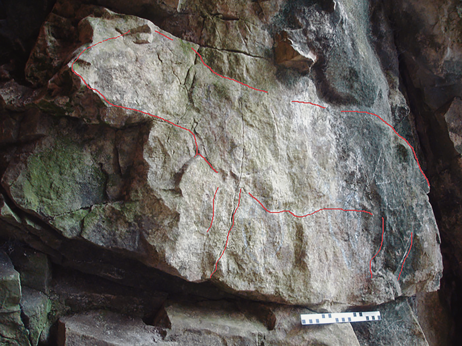 An unlikely bison, Pleistocene in date, located on a vertical panel from Cave 5615, near Symond's Yat in the Wye Valley Gorge, South Herefordshire
