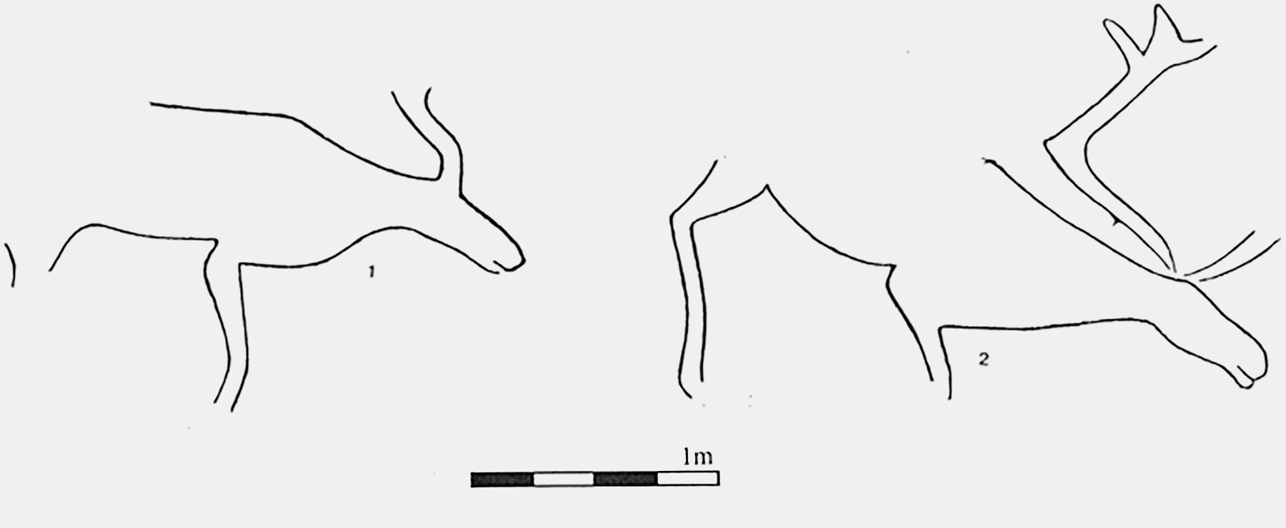 A tracing showing the simple lines of an engraved reindeer from Sagelva in Nordlamd