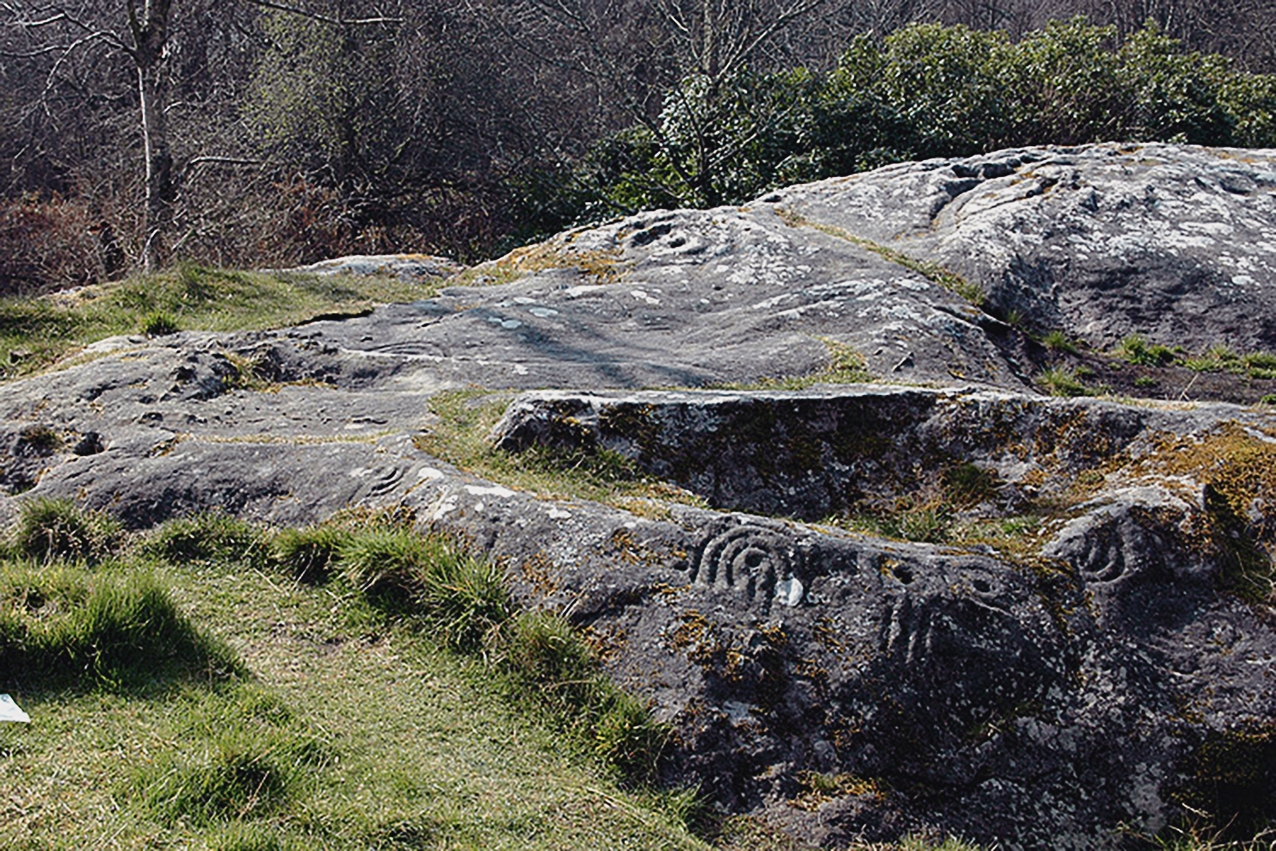 Roughting Linn Northumberland Rock Art Carvings Archaeology