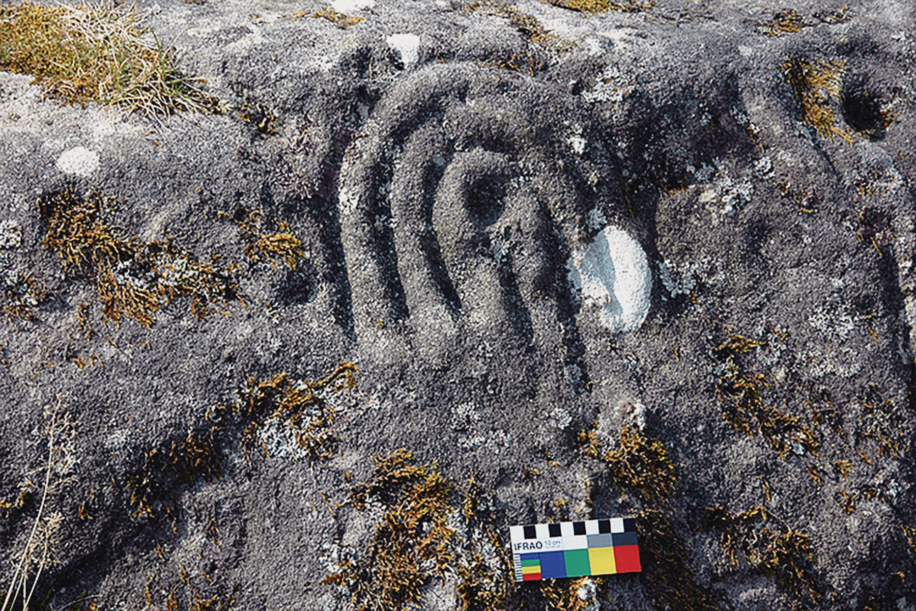 Roughting Linn Northumberland Rock Art Carvings Archaeology