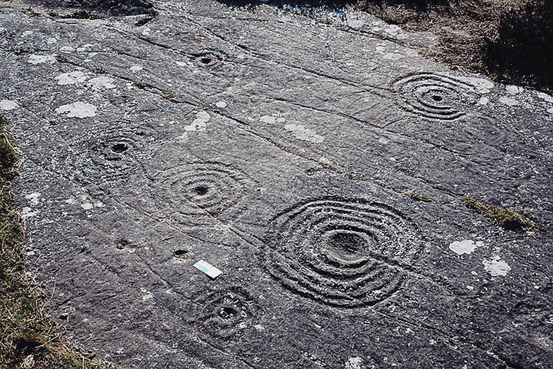 Weetwood Moor Northumberland Rock Art Carvings Archaeology