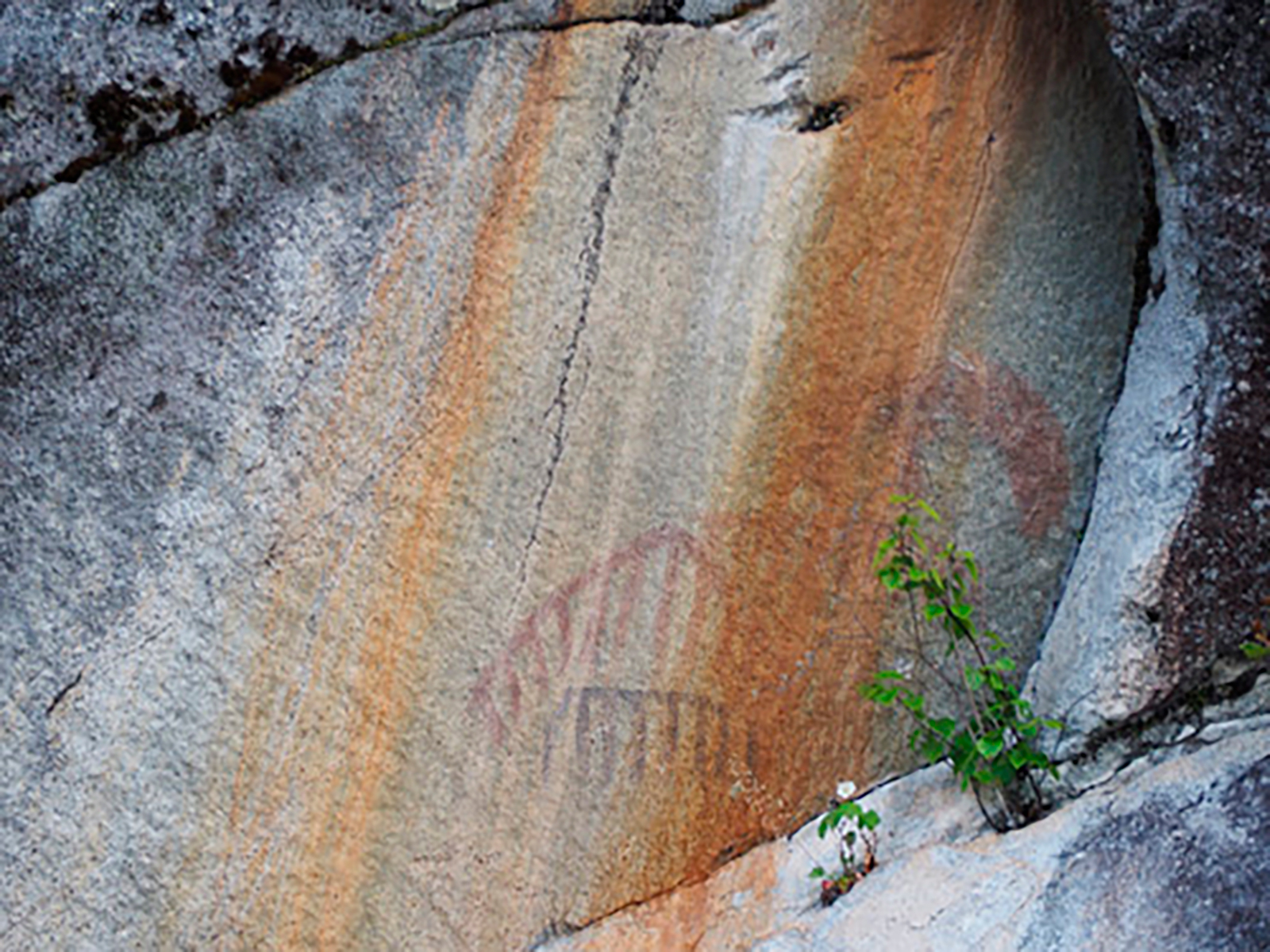 Rock Art of Wuikinuxv Territory