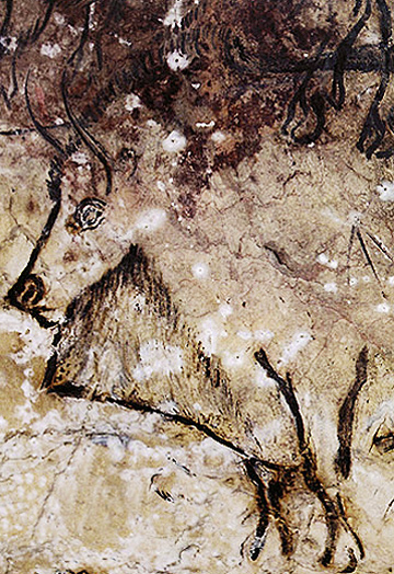 Chauvet Cave Art Paintings