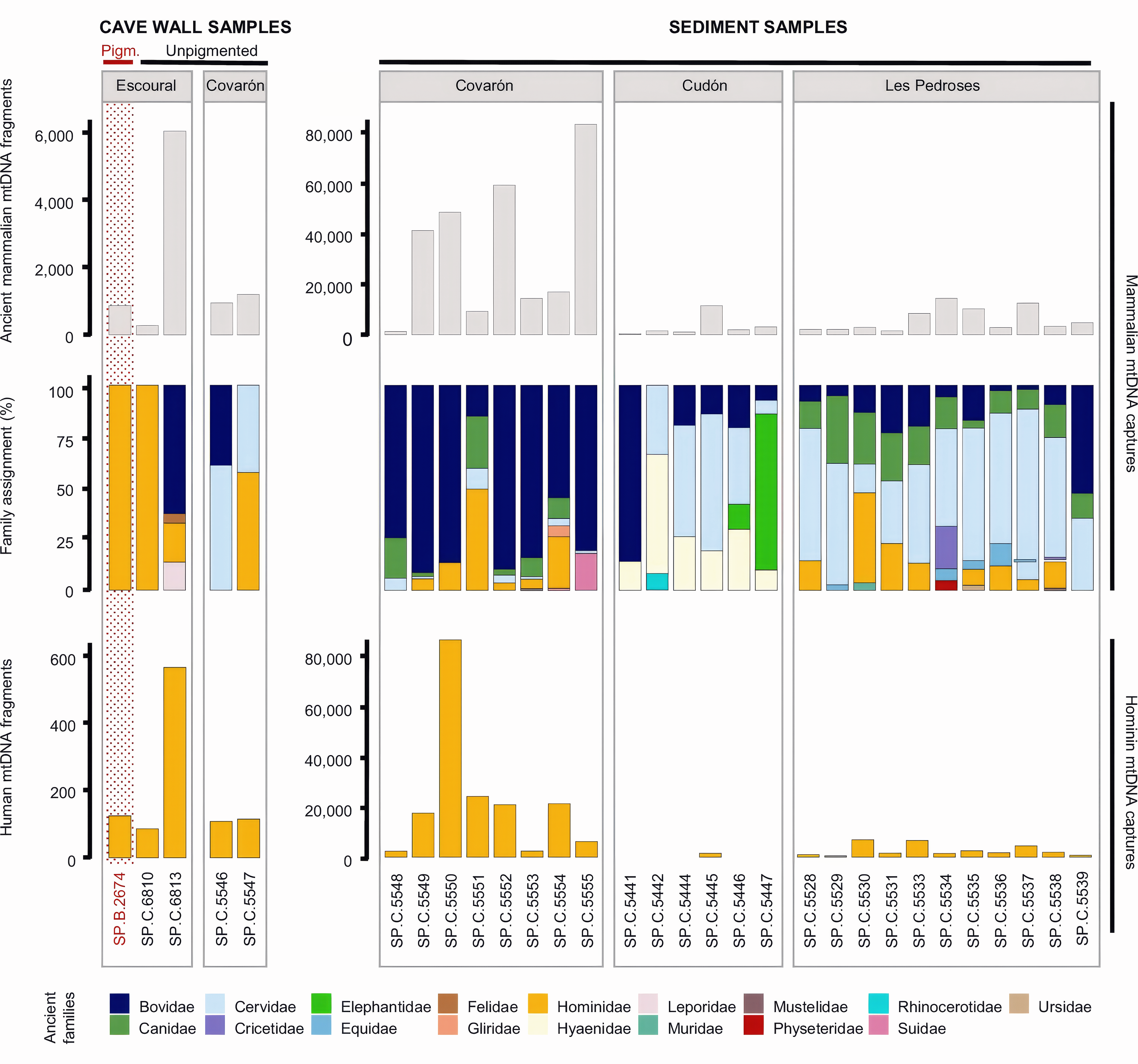 Comparison of mammalian and human mtDNA recovery in sediment and cave wall samples