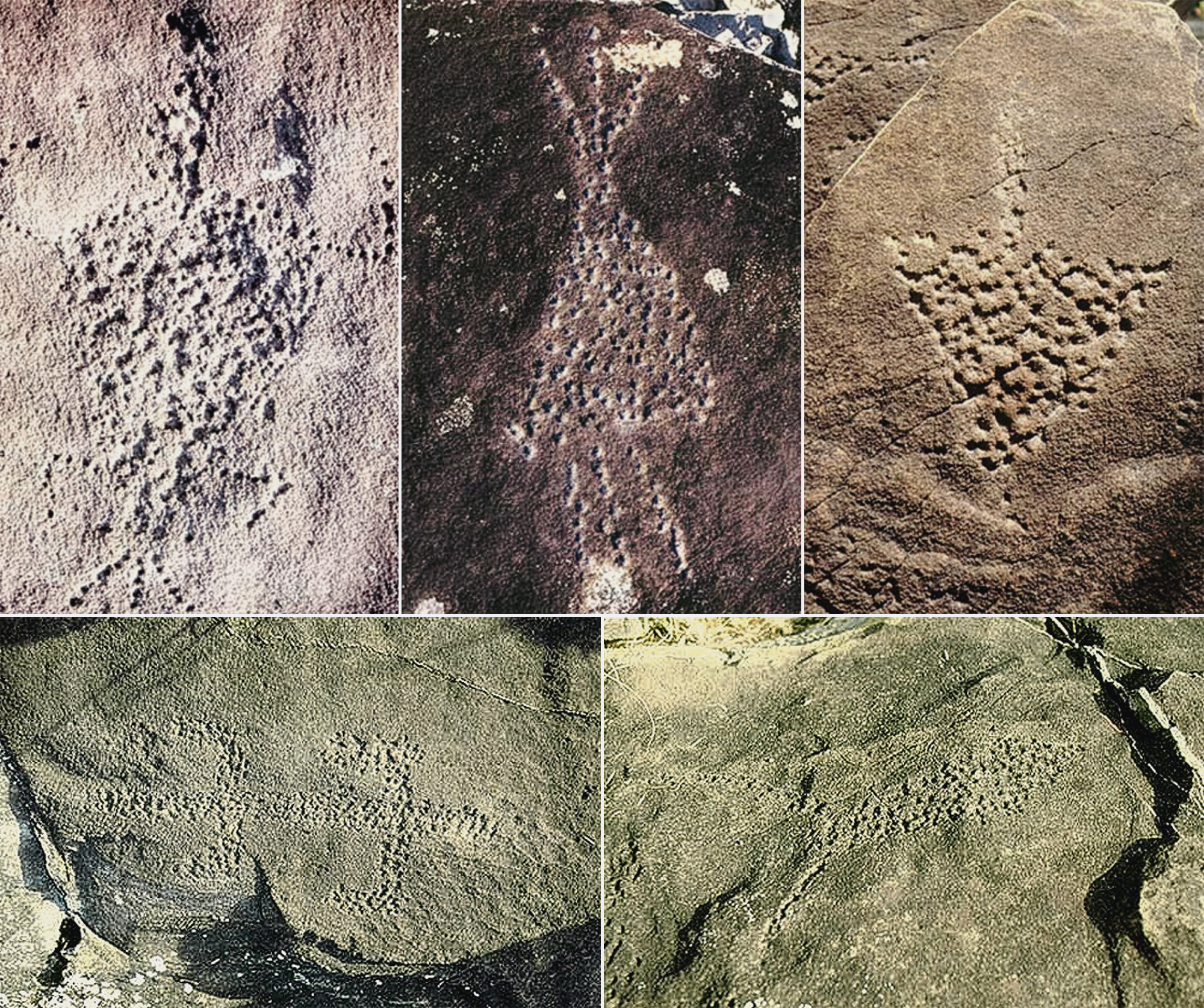 Rock Art Central Africa Archaeology Gabon