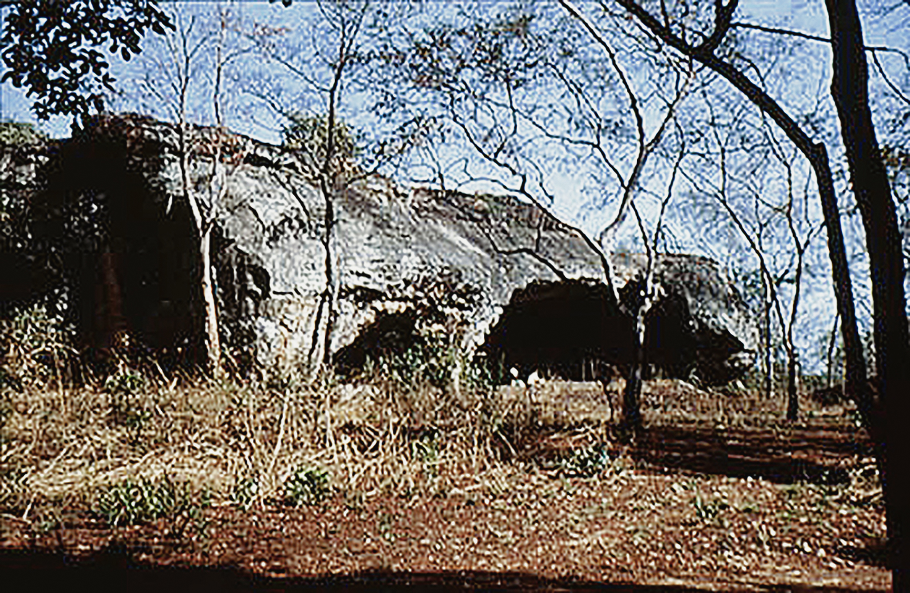 Rock Art Central Africa Archaeology Gabon