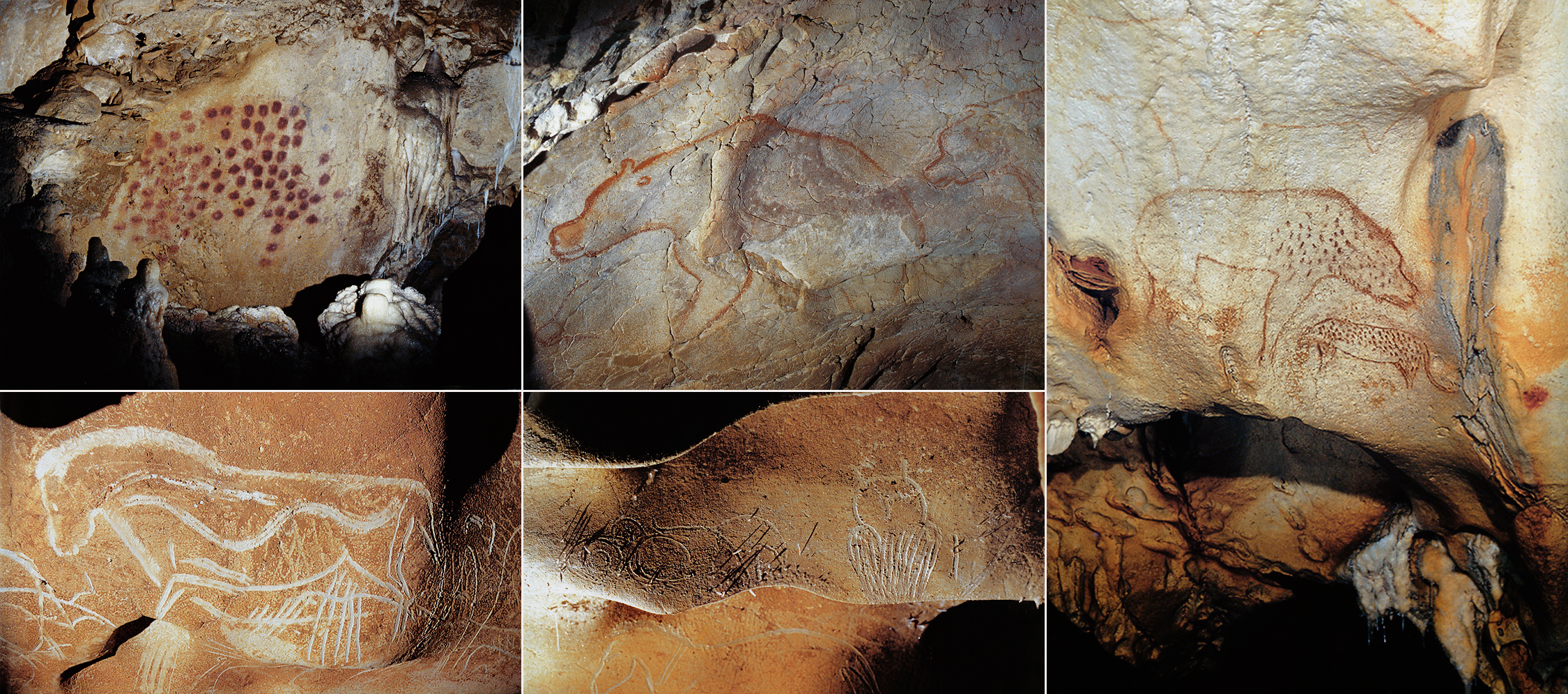 Cave paintings from Chauvet (clockwise left) Panel of Red Dots, Red Bears, Cheetah and Hyena, The Owl, Large Horse Panel