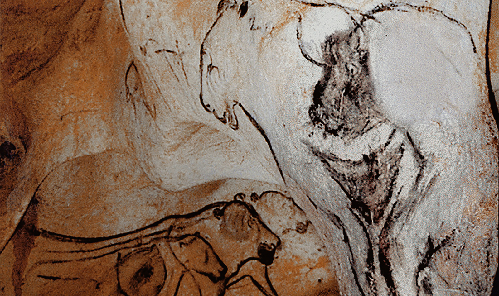 Venus Sorcerer Chauvet Cave Paintings Rock Art France Bradshaw Foundation