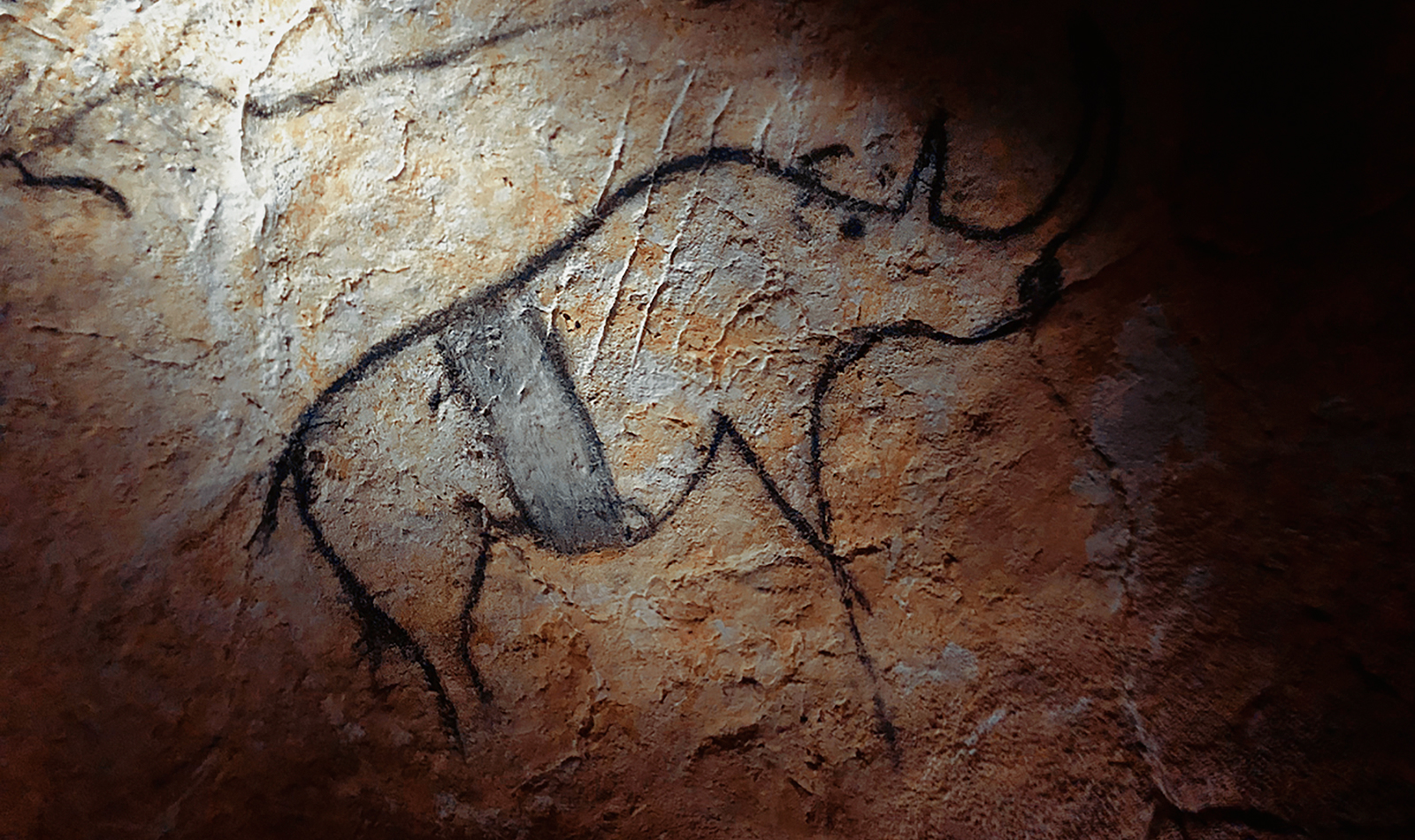 Rhinoceroses Rhinocerose Chauvet Cave Paintings Rock Art France Bradshaw Foundation