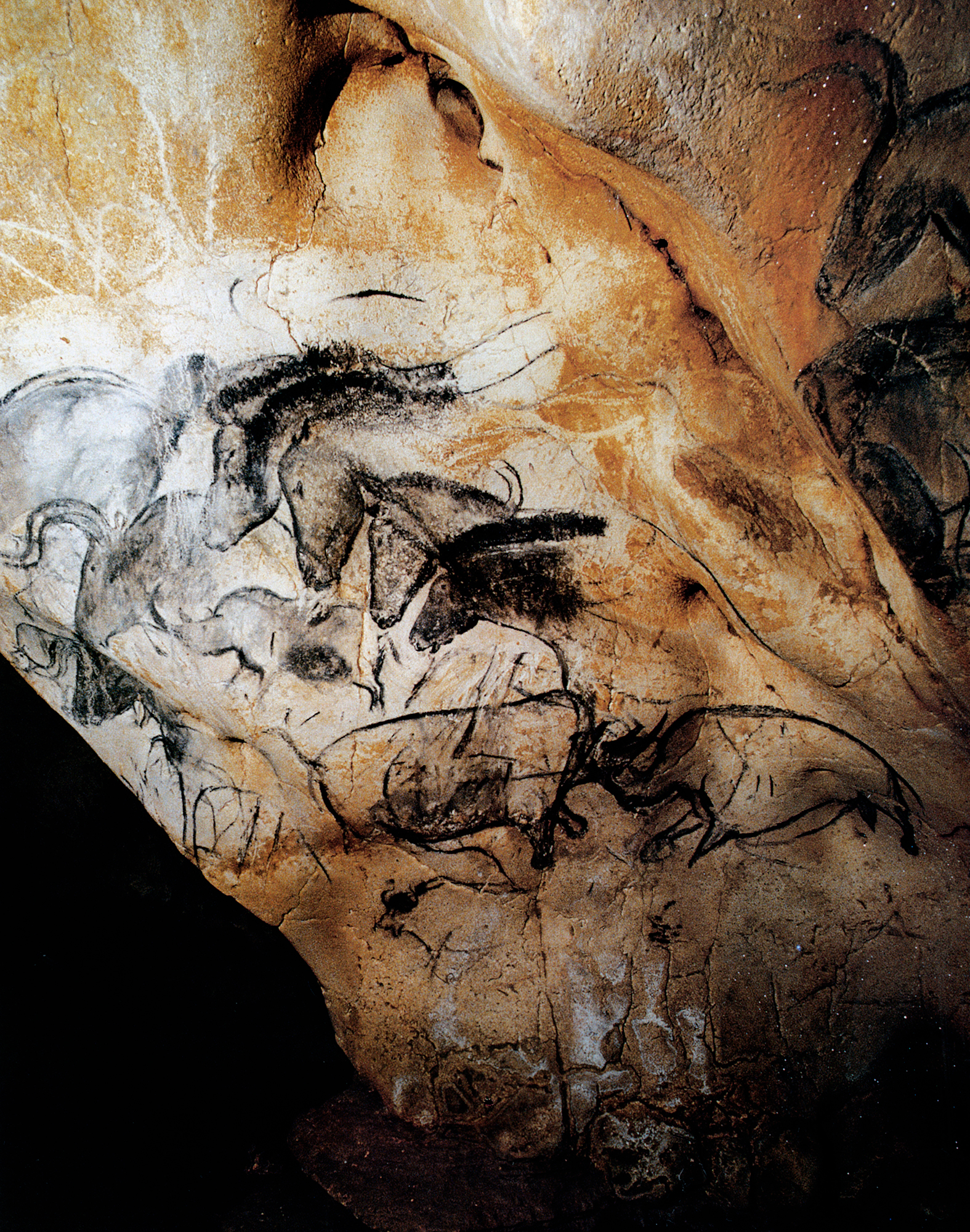 Chauvet Cave Paintings Rock Art France Bradshaw Foundation