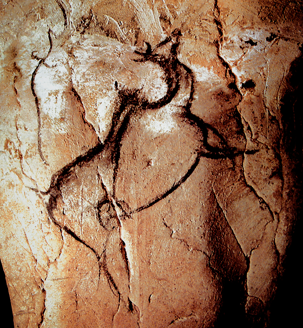 Megaloceros Chauvet Cave Paintings Rock Art France Bradshaw Foundation