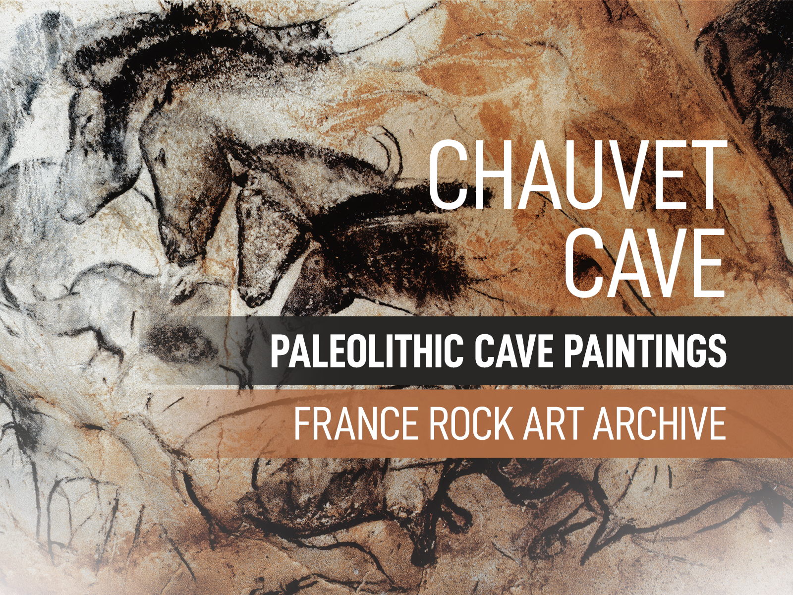 Cave Art Paintings of the Chauvet Cave