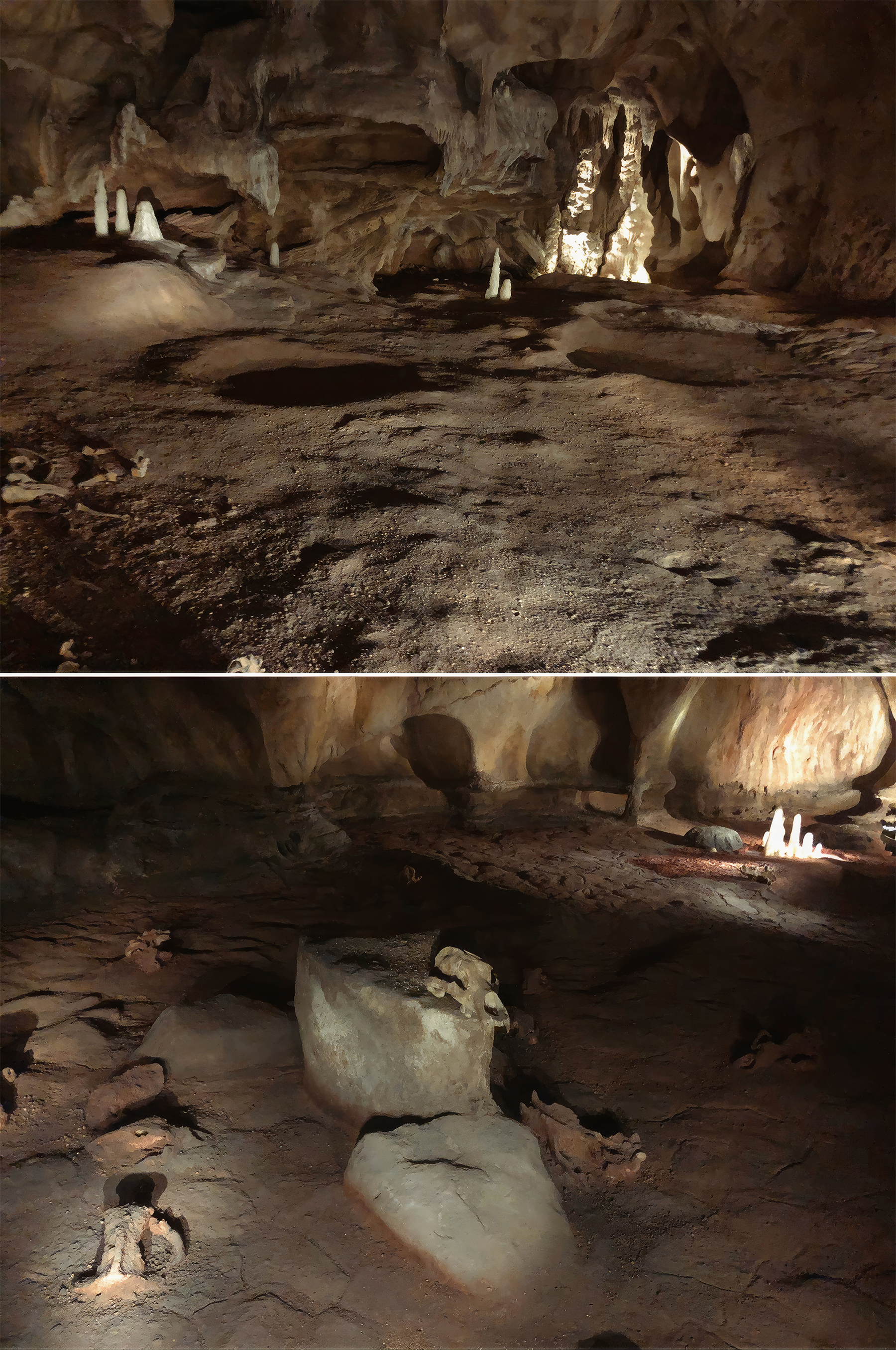 Chauvet Cave Replica