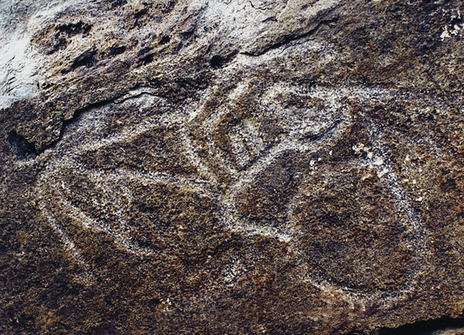 Rock Art The Tiger in Chinese Culture China Archaeology