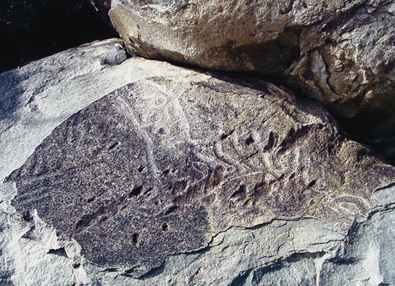 Rock Art The Tiger in Chinese Culture China Archaeology