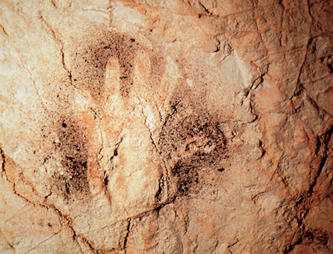 Hand stencils and prints can exclusively be found in the earliest periods of the art