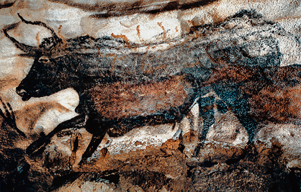 Great Black Bull from the Lascaux Cave