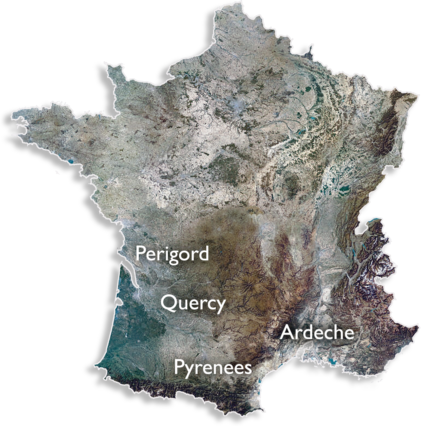 Paleolithic Cave Art of France