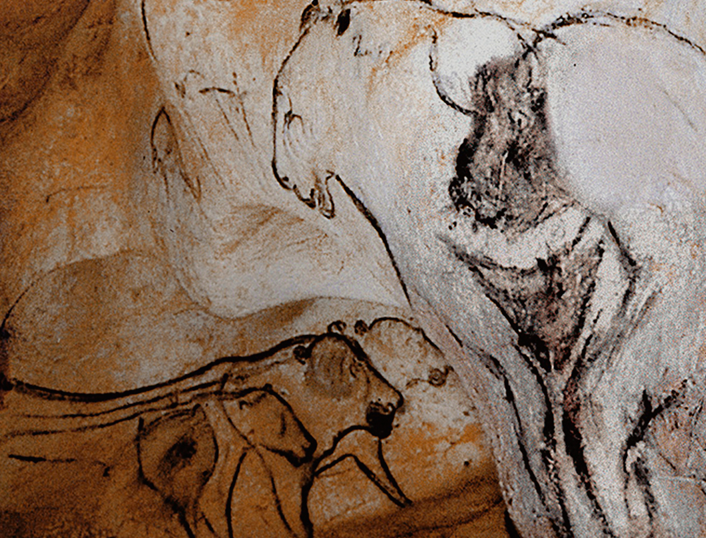 The Paleolithic Cave Art Of France   Sorcerer 