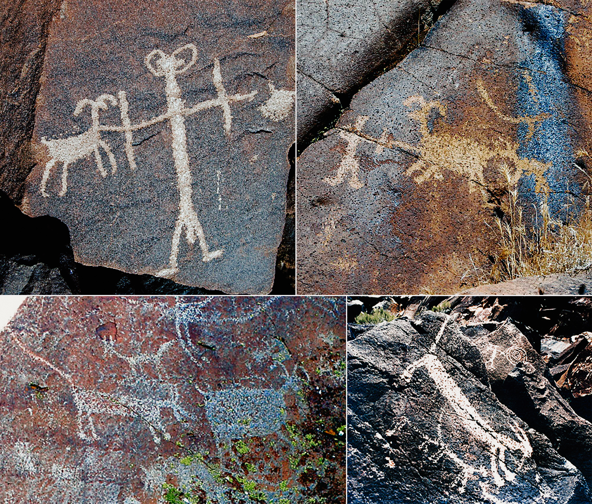 (Clockwise left) Bow & arrow armed hunters attacking sheep from Sheep Canyon. Bow & arrow armed hunters attacking sheep from Renegade Canyon. Coso Mountain Lions. Mountain lions attacking sheep  from Renegade Canyon.
