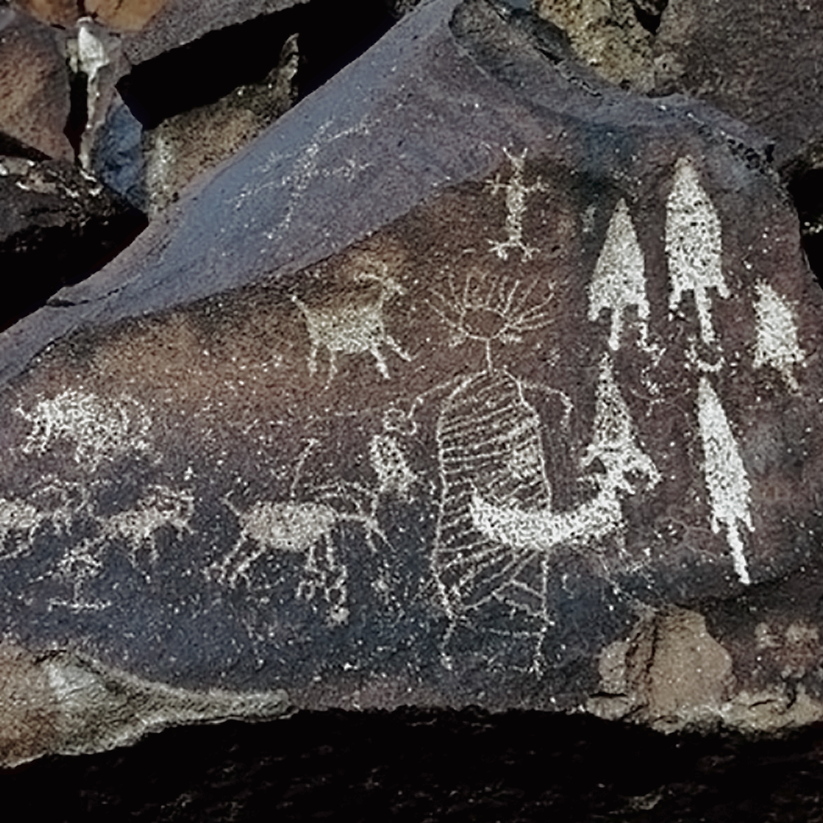 Rock Art Engravings Coso Range Petroglyphs Pictographs Bradshaw Foundation Archaeology Sheep Bighorn Cult California USA America United States Rockart