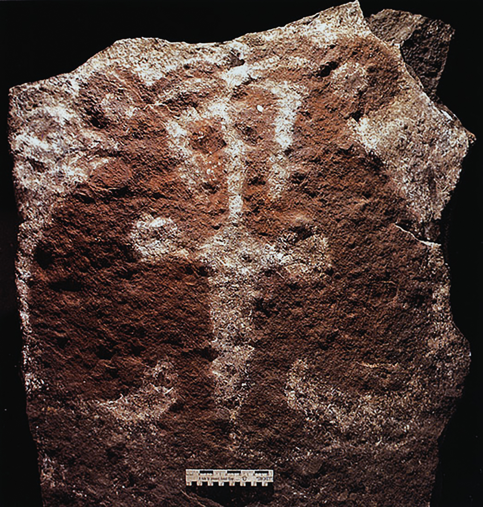 Birdman Painted Slab from Orongo Rock Art Easter Island Rapa Nui Moai Archaeology Bradshaw Foundation