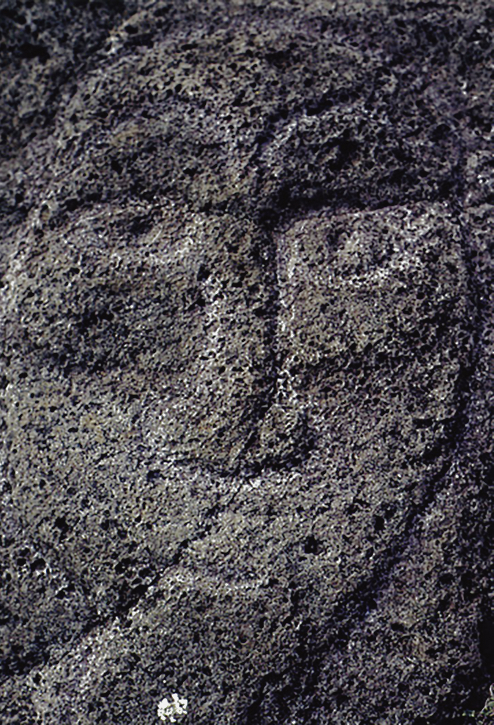 Face panel at Tongariki Rock Art Petroglyphs Easter Island Rapa Nui Archaeology