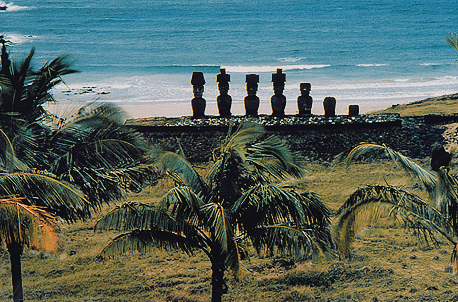 Anakena Rock Art Easter Island Rapa Nui Moai Archaeology Bradshaw Foundation