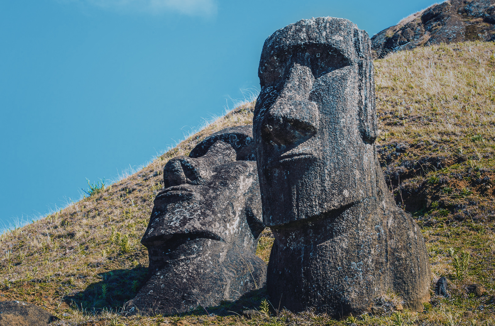Hillside at Rano Kau Rock Art Easter Island Rapa Nui Moai Archaeology Bradshaw Foundation
